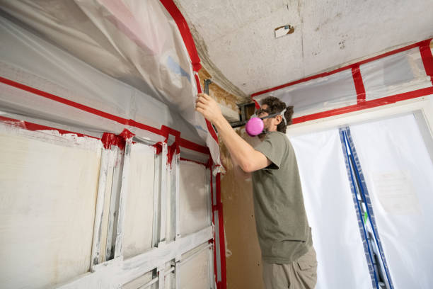 Best Commercial Mold Inspection  in Forest City, NC