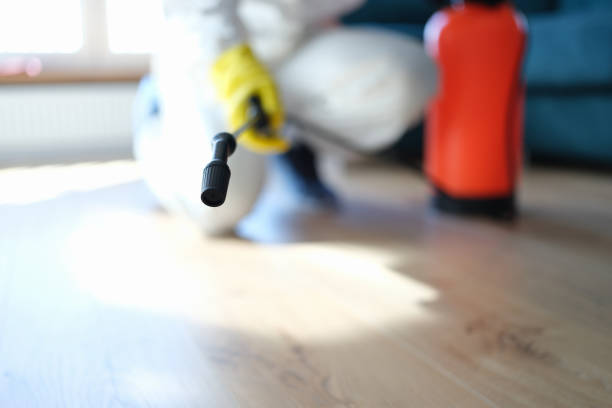 Best Commercial Mold Inspection  in Forest City, NC